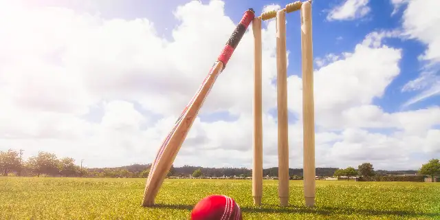 the-game-of-cricket Image